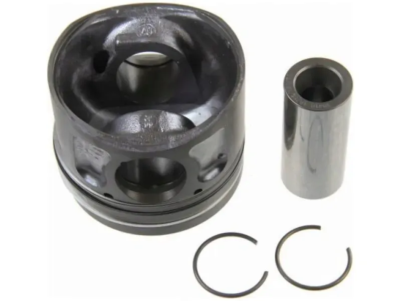 tlok-mahle-016-07-00