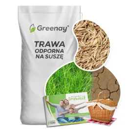 nasiona-trawy-uniwersalna-samozageszczajaca-trawnik-10kg-500m-dekoracyjna