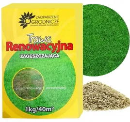 nasiona-trawy-uniwersalna-samozageszczajaca-trawnik-1kg-400m-dekoracyjna