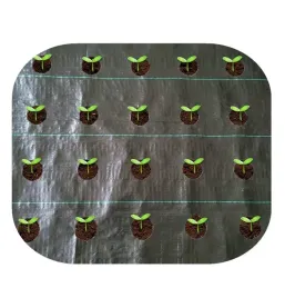 agrowloknina-agrotkanina-mata-antychwastowa-sciolkujaca-11x10m-z-dziurami