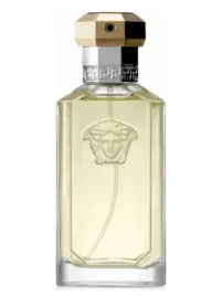 versace-the-dreamer-edt-100-ml-tester