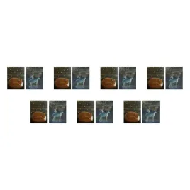 7-szt-bild-plakat-sen-pod-gwiazdami-30x40-cm