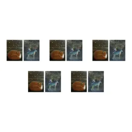 5-szt-bild-plakat-sen-pod-gwiazdami-30x40-cm