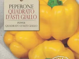 papryka-quadrato-d-asti-giallo-zolta-slodka-nasiona-bavicchi