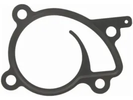 uszczelka-pompy-wody-renault-scenic-iii-1-2-1-4-iv-1-2