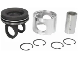 tlok-mahle-061-pi-00111-000