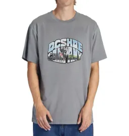 koszulka-t-shirt-dc-citywide-200g-szara-z-nadrukiem-xl