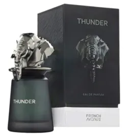 french-avenue-thunder-edp-m-100ml-folia