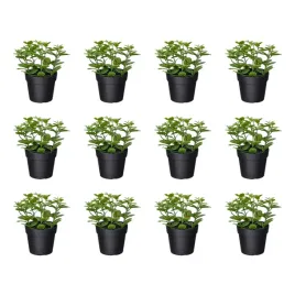 12-szt-sztuczna-roslina-doniczkowa-mieta-9-cm-do-wnetrz-i-na-zewnatrz