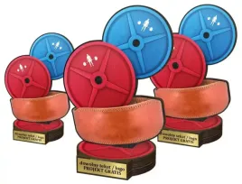 komplet-statuetek-drewno-kolor-30-25-22-podnoszenie-ciezarow-sporty-silowe