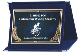 grawerowany-dyplom-podziekowanie-patera-etui