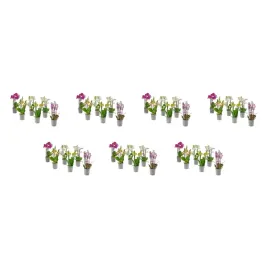 7-szt-orchidea-wielokwiatowa-12-cm-doniczka-phalaenopsis