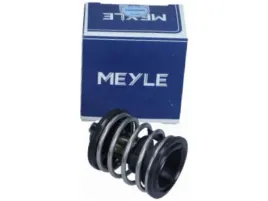 termostat-bmw-x5-e70-3-0-f15-f85-2-0-3-0-x6-e71-e72-3-0-f16-f86-3-0