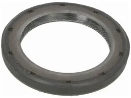 uszczelniacz-polosi-renault-clio-ii-1-1-1-6-laguna-ii-1-6-2-0