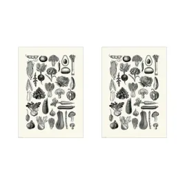 2-szt-bild-plakat-rozne-warzywa-50x70-cm