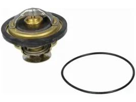 termostat-wahler-4174-79d