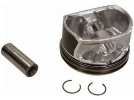 tlok-mahle-030-71-01