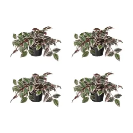 4-szt-sztuczna-roslina-doniczkowa-tradescencja-liliowy-12-cm-fejka