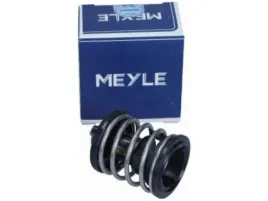 termostat-bmw-5-f10-2-0-3-0-f11-2-0-3-0-f07-2-0-3-0-e60-2-0-e61-2-0