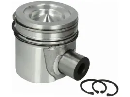 tlok-kolbenschmidt-41077610