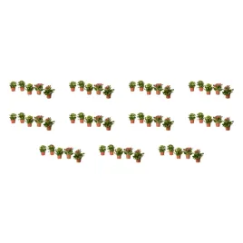 11-szt-kalanchoe-flaming-katy-roslina-doniczkowa-rozne-kolory