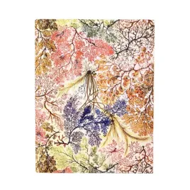 notatnik-linia-anemone-ultra