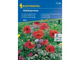 laka-kwietna-dla-owadow-pozytecznych-nasiona-kwiatow-przyjaznych-owadom