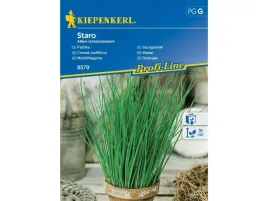 szczypiorek-zimujacy-staro-nasiona-szczypiorku-kiepenkerl