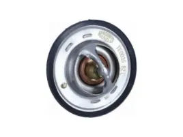 termostat-ford-escort-v-mk5-1-3-vi-mk6-1-3-orion-iii-mk3-1-3-ka-i-mk1-1-3