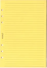 wklad-do-organizera-a5-linia-zolta