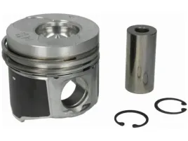 tlok-mahle-022-09-02