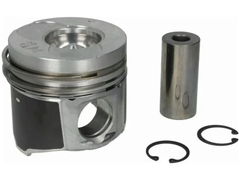 tlok-mahle-022-09-02