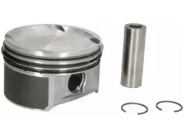 tlok-mahle-004-08-00