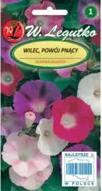 mieszanka-nasion-wilec-powoj-pnacy-3m-uprawa-na-balkon-i-ogrod