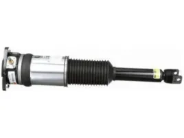 amortyzator-pneumatyczny-arnott-as-2959