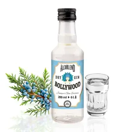 zaprawka-esencja-koncentrat-do-wodki-likieru-alcoblend-bollywood-gin-200-ml