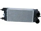 intercooler-nrf-30548