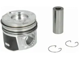 tlok-mahle-040-03-00
