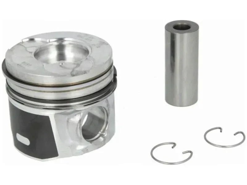 tlok-mahle-040-03-00