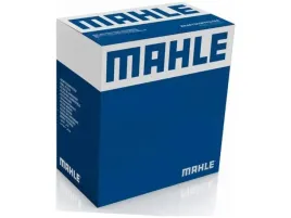 nagrzewnica-mahle-ah-202-000p