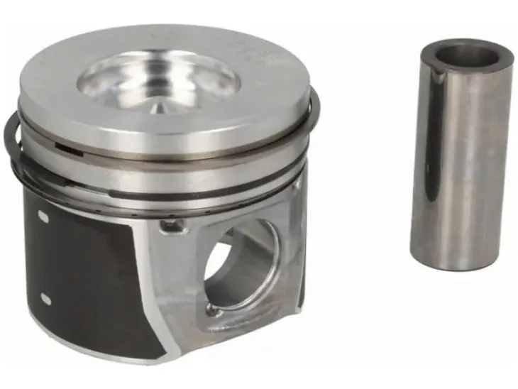 tlok-mahle-016-02-00