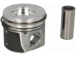 tlok-mahle-016-02-00