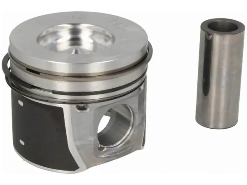 tlok-mahle-016-02-00