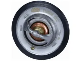 termostat-jaguar-xj-5-3-xjsc-5-3-saab-900-i-2-0