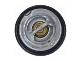 termostat-mercedes-klasa-g-w460-2-5-t2-ln1-2-3-2-4-t1-tn-2-3-2-9-unimog-2-9