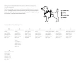 szelki-dla-psa-baylabel-dog-n-roll-l-30-mm-stan-nowy
