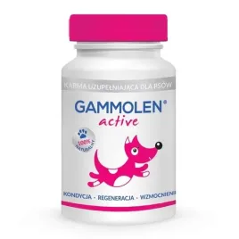 gammolen-active-suplement-dla-aktywnych-psow-regeneracja-kondycja-wzmocnien