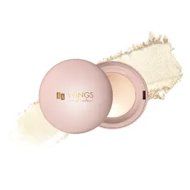 aa-wings-power-of-glow-rozswietlacz-do-twarzy-i-ciala-wypiekany-4g-