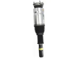 amortyzator-pneumatyczny-arnott-as-3069