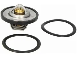 termostat-citroen-xantia-1-6-2-0-jumper-i-2-0-evasion-1-8-2-0-saxo-1-0-1-6